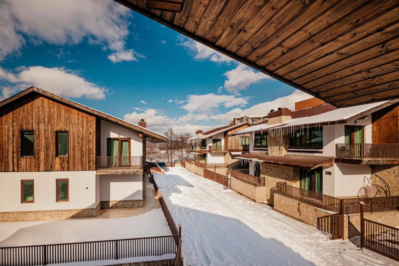 Villa In Crystal Бакуриани Екстериор снимка